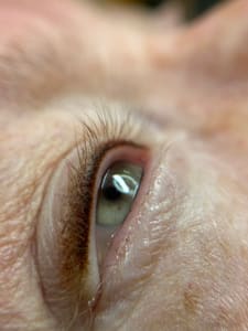 Eyeliner Tattoo result by Mt Ibrow & Beauty in Canonsburg, PA