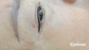 Eyeliner Tattoo result by Mystic Brow Shading Studio in Leesburg, VA