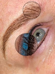 Eyeliner Tattoo result by Nouveau Image Permanent Cosmetics LLC in St Augustine, FL