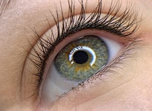 Eyeliner Tattoo result by Oksana Gryniuk Permanent Makeup Artist in Smithtown, NY