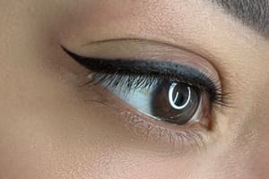 Eyeliner Tattoo result by Pebrows_pmu in Santa Monica, CA