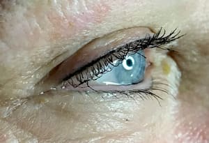 Eyeliner Tattoo result by Permanent Make Up by Amy Joy in St Petersburg, FL
