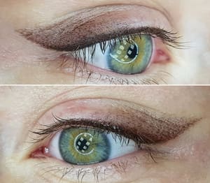 Eyeliner Tattoo result by Permanent Makeup Artist in Grosse Pointe Farms, MI
