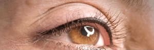 Eyeliner Tattoo result by Permanent Makeup by Rozita in Folsom, CA