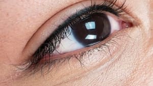 Eyeliner Tattoo result by PhiBrows Elite in Williamsburg, VA