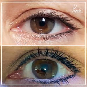 Eyeliner Tattoo result by Pigmenta Permanent Cosmetics in New Canaan, CT