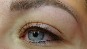 Eyeliner Tattoo result by Premier Beauty Salon LLC in Louisville, KY