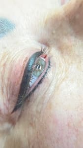Eyeliner Tattoo result by Pretty Brows Lash N' Skin in Colleyville, TX