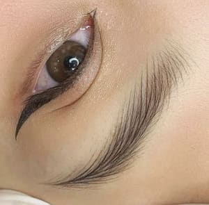Eyeliner Tattoo result by Princess Lash & Brows in Mokena, IL