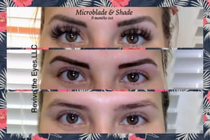Eyeliner Tattoo result by Revive the Eyes, LLC in Bradenton, FL