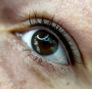 Eyeliner Tattoo result by Säga Beauty Collective in St Peter, MN