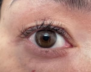 Eyeliner Tattoo result by Sassy Lashes And Brows in Delray Beach, FL