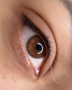 Eyeliner Tattoo result by Sculpted Studios Miami in Miami, FL