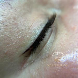 Eyeliner Tattoo result by ShelbyRae.ink in Rocklin, CA