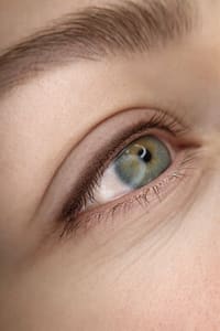 Eyeliner Tattoo result by Shulga Permanent Makeup in Sunnyvale, CA