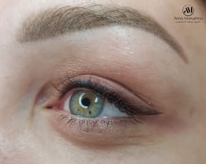 Eyeliner Tattoo result by Signature PMU by Anna in Hendersonville, NC