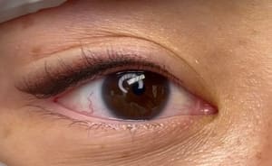 Eyeliner Tattoo result by Stella Ink LA in Woodland Hills, CA