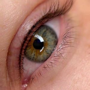 Eyeliner Tattoo result by Svoya Beauty Studio in Los Angeles, CA