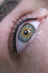 Eyeliner Tattoo result by Sweet Dee Brows in Downingtown, PA