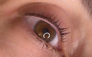 Eyeliner Tattoo result by The Beauty Sanctuary in Chandler, AZ