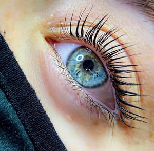 Eyeliner Tattoo result by The Beauty Studio in Bethel, CT