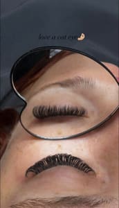Eyeliner Tattoo result by The Lash and Beauty Bar in St Petersburg, FL