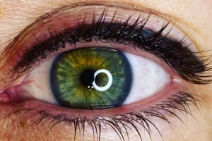 Eyeliner Tattoo result by Tranquility Studio 523 in Dyersburg, TN