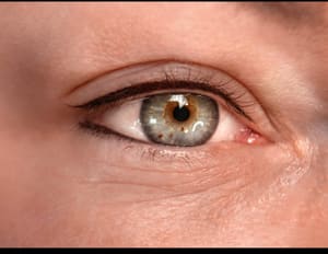 Eyeliner Tattoo result by Virtuoso Permanent Makeup in Brooklyn, NY