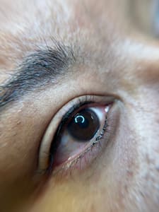 Eyeliner Tattoo result by Weekday Ritual in Bowling Green, KY