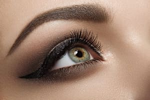 Eyeliner Tattoo result by Wonder Lashs & Browns in Milpitas, CA