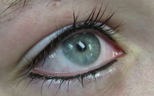 Eyeliner Tattoo result by Your Style Permanent Makeup and Nails in Kalamazoo, MI