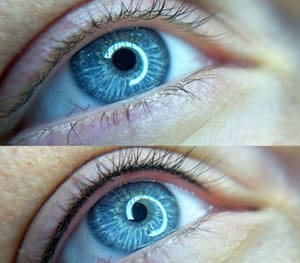 Eyeliner Tattoo result by ZT Aesthetic Beauty & Permanent Makeup in Palatine, IL