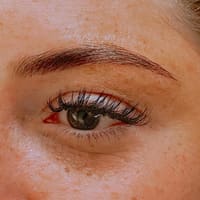 Ferōx Brow Co. - permanent makeup work