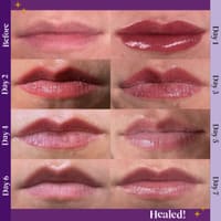 Flash Your Lash - permanent makeup work