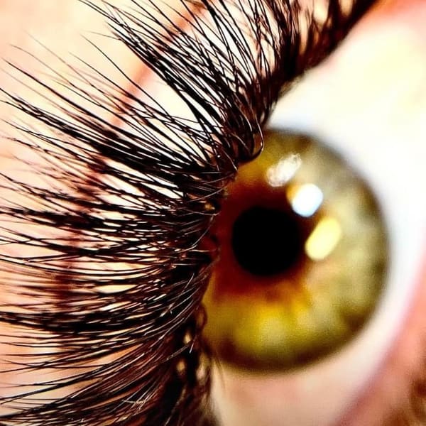 Flawless Lash and Brows - permanent makeup in Lansing, MI