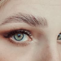Golden Oak Artistry - permanent makeup work