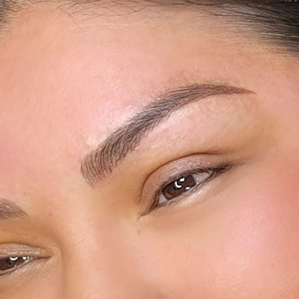 Graceful Brows - permanent makeup in Spring Valley, CA