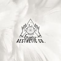 Gypsy Aesthetic Co. - permanent makeup work