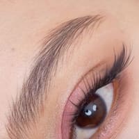 hairstroke eyebrows - permanent makeup work