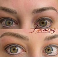 Harmony Permanent Makeup Studio - Microblading eyebrows Eyeliner Lipblush Nano brows Knoxville TN - permanent makeup work