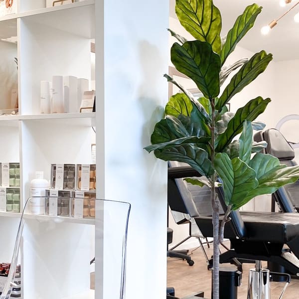 Haven & Brow - permanent makeup in Sumner, WA