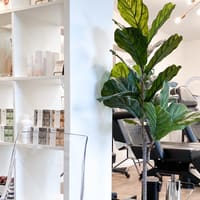 Haven & Brow - permanent makeup work