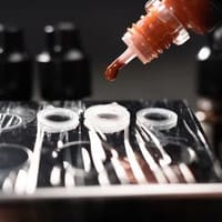Holly Ink Permanent Cosmetics - permanent makeup work