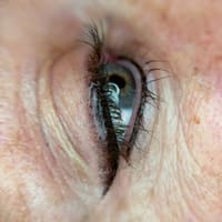 Honest Touch - permanent makeup work
