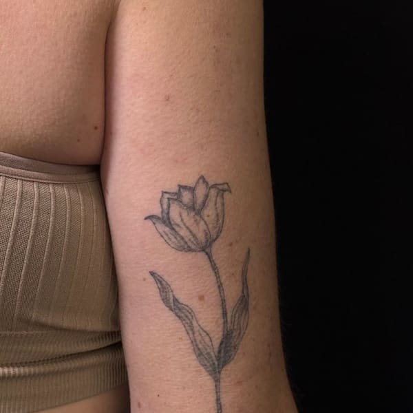Ink'T Cosmetics - permanent makeup in Salem, OH