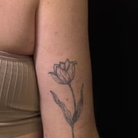 Ink'T Cosmetics - permanent makeup work