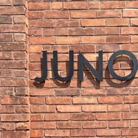 Juno Studios - permanent makeup work
