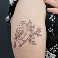 Kayla Darling Ink - permanent makeup work