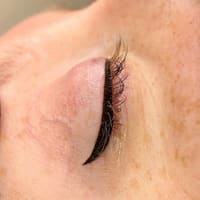 KZ Brow Lashes - permanent makeup work