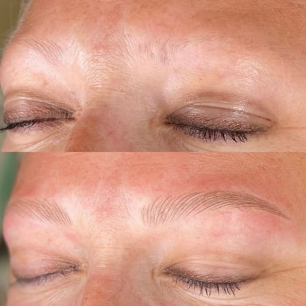 LADRU / Ink By Lacey / Microblading / Pico Laser Tattoo Removal - permanent makeup in Middleton, WI